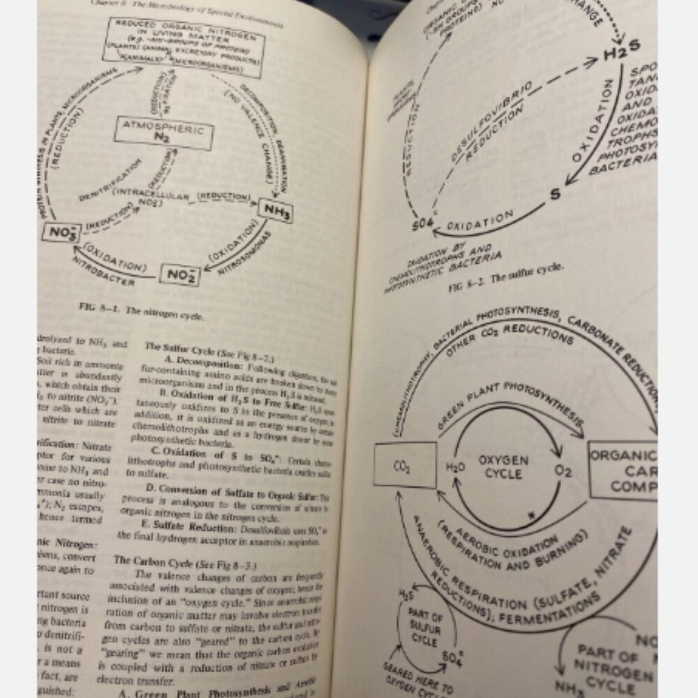 Review Of Medical Microbiology Edition 10 Ernest Jawetz - Picture 4 of 7